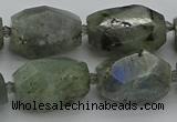 CNG5586 12*16mm - 15*25mm faceted nuggets labradorite beads