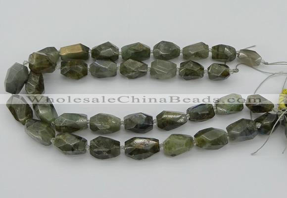 CNG5587 12*16mm - 15*25mm faceted nuggets labradorite beads