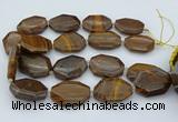 CNG5597 20*30mm - 35*45mm faceted freeform tiger iron beads