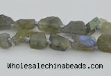 CNG5620 6*9mm - 10*16mm nuggets labradorite gemstone beads