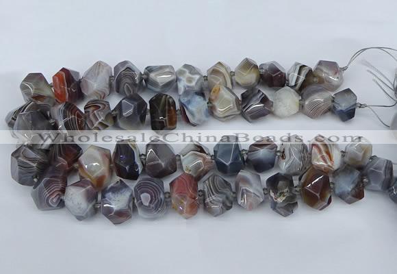 CNG5680 12*16mm - 15*20mm faceted nuggets botswana agate beads