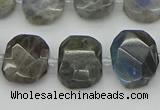 CNG5722 15.5 inches 12*16mm - 15*20mm faceted freeform labradorite beads