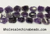 CNG6945 15.5 inches 20*20mm - 25*25mm freeform amethyst beads