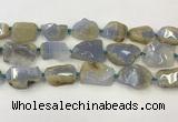 CNG6949 15.5 inches 22*30mm - 30*40mm freeform blue chalcedony beads