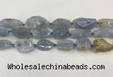 CNG6950 15.5 inches 18*20mm - 22*30mm freeform blue chalcedony beads