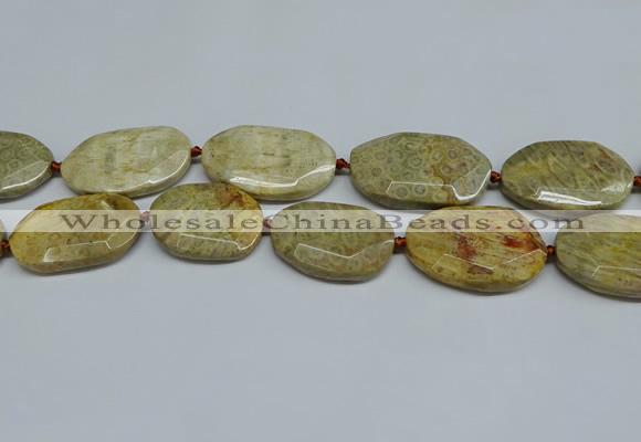 CNG7082 25*35mm - 35*45mm faceted freeform chrysanthemum agate beads