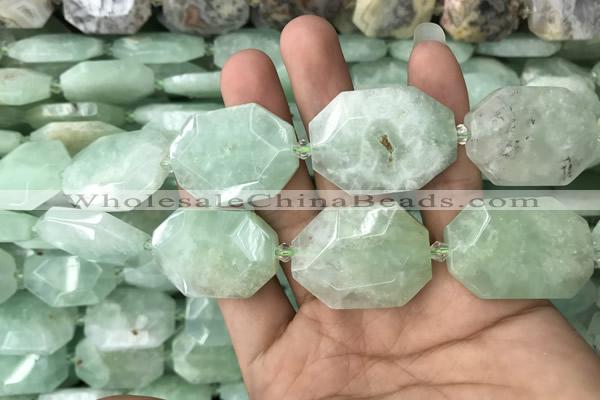 CNG7831 20*28mm - 25*35mm faceted freeform light prehnite beads