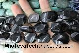 CNG7868 13*18mm - 18*25mm faceted freeform hypersthene beads