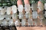 CNG7881 13*18mm - 15*25mm faceted freeform moonstone beads