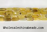 CNG8396 15.5 inches 8*18mm - 10*25mm freeform agate beads