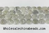 CNG8806 15.5 inches 16mm - 20mm faceted freeform moonstone beads