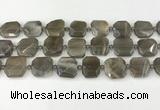 CNG8810 15.5 inches 16mm - 20mm faceted freeform moonstone beads