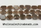 CNG8811 15.5 inches 16mm - 20mm faceted freeform moonstone beads