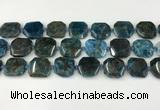 CNG8821 15.5 inches 16mm - 20mm faceted freeform apatite beads