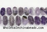 CNG8916 15.5 inches 10*25mm - 15*30mm faceted nuggets amethyst beads