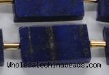 CNL1520 15.5 inches 20*30mm - 25*35mm rectangle lapis lazuli beads