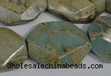 CNS263 15.5 inches 22*30mm octagonal natural serpentine jasper beads