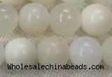 COP1589 15.5 inches 8mm round white opal gemstone beads