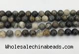 COP1603 15.5 inches 10mm round moss opal beads wholesale