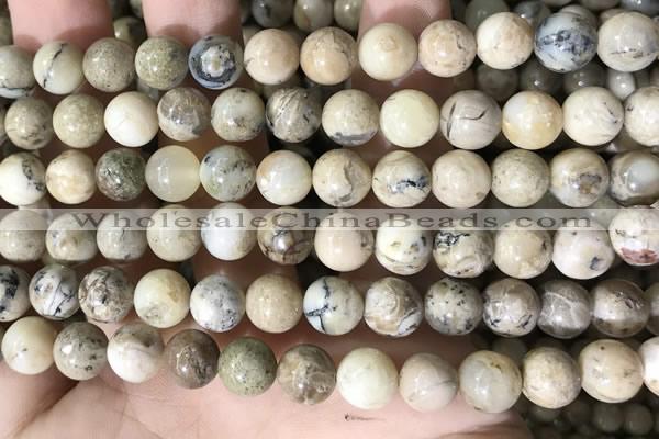 COP1662 15.5 inches 8mm round African opal beads wholesale