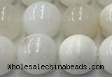 COP1733 15.5 inches 12mm round white opal beads wholesale