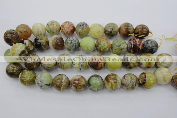 COP594 15.5 inches 20mm round natural yellow & green opal beads