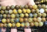 CPB1053 15.5 inches 10mm round golden pietersite beads wholesale