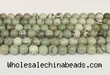 CPJ702 15.5 inches 8mm round greeting pine jasper beads