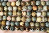 CPJ710 15.5 inches 12mm round rocky butte picture jasper beads