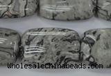 CPT182 15.5 inches 20*30mm rectangle grey picture jasper beads