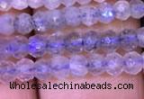 CRB1980 15.5 inches 3*4mm faceted rondelle labradorite beads