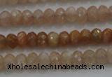 CRB224 15.5 inches 2.5*4mm faceted rondelle moonstone beads