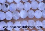 CRB2623 15.5 inches 2*3mm faceted rondelle white moonstone beads