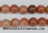 CRJ202 15.5 inches 10mm round natural red jade gemstone beads