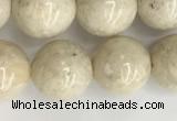 CRJ623 15.5 inches 10mm round white fossil jasper beads wholesale