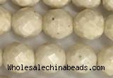 CRJ627 15.5 inches 6mm faceted round white fossil jasper beads