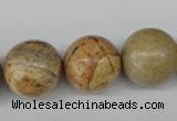 CRO485 15.5 inches 18mm round picture jasper beads wholesale