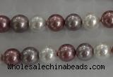 CSB1036 15.5 inches 8mm round mixed color shell pearl beads