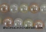 CSB1092 15.5 inches 12mm round mixed color shell pearl beads