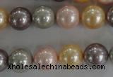 CSB1093 15.5 inches 12mm round mixed color shell pearl beads