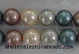 CSB1094 15.5 inches 12mm round mixed color shell pearl beads