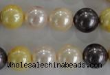 CSB1101 15.5 inches 12mm round mixed color shell pearl beads