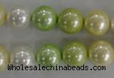 CSB1104 15.5 inches 12mm round mixed color shell pearl beads