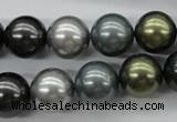 CSB1126 15.5 inches 14mm round mixed color shell pearl beads