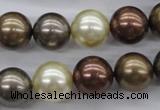 CSB1133 15.5 inches 14mm round mixed color shell pearl beads