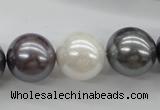 CSB1150 15.5 inches 16mm round mixed color shell pearl beads