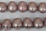 CSB138 15.5 inches 12*15mm – 13*16mm oval shell pearl beads