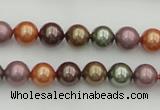 CSB312 15.5 inches 8mm round mixed color shell pearl beads