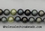 CSB316 15.5 inches 8mm round mixed color shell pearl beads