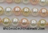 CSB320 15.5 inches 10mm round mixed color shell pearl beads